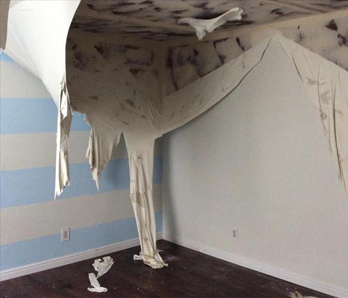 Paint from ceiling falling due to water damage