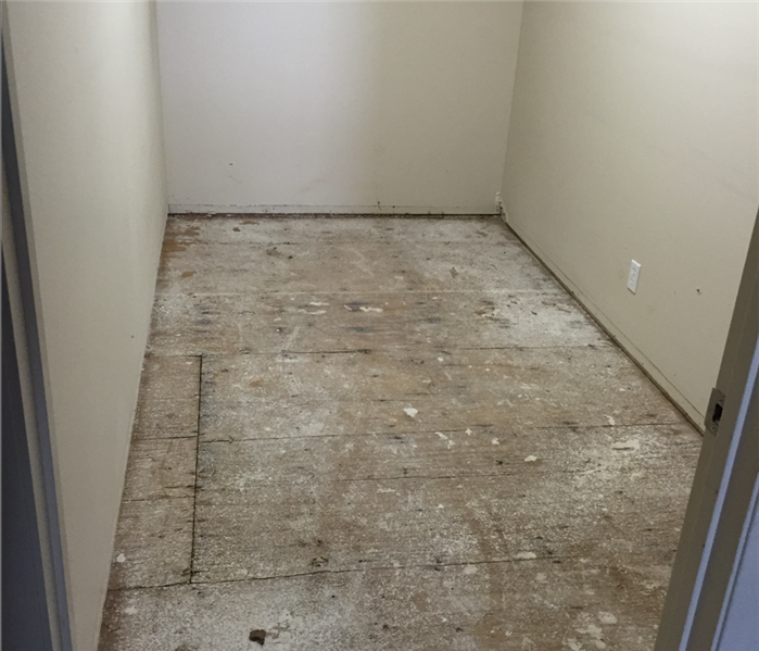 Commercial closet with carpet removed after water damage