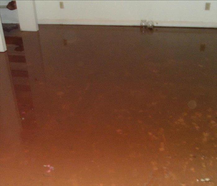 Dirty water from flooding in Cedar City Home