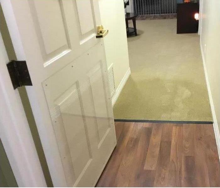 Bedroom carpet suffered water damage.
