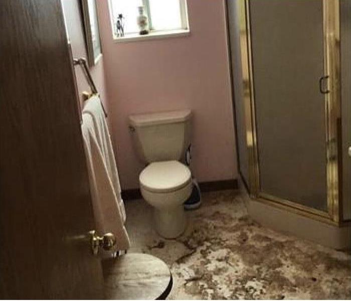 Damaged bathroom after a sewer backup