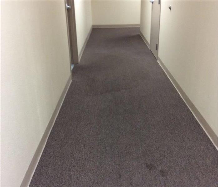 Water damage left behind staining on the commercial carpet.