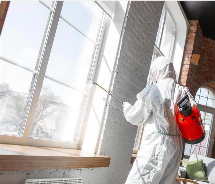Worker with proper protective clothing cleaning up mold